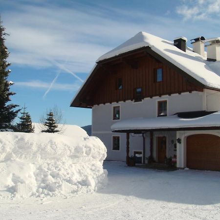 Ferienwohnungen Haus-Holzer Маутерндорф Екстериор снимка