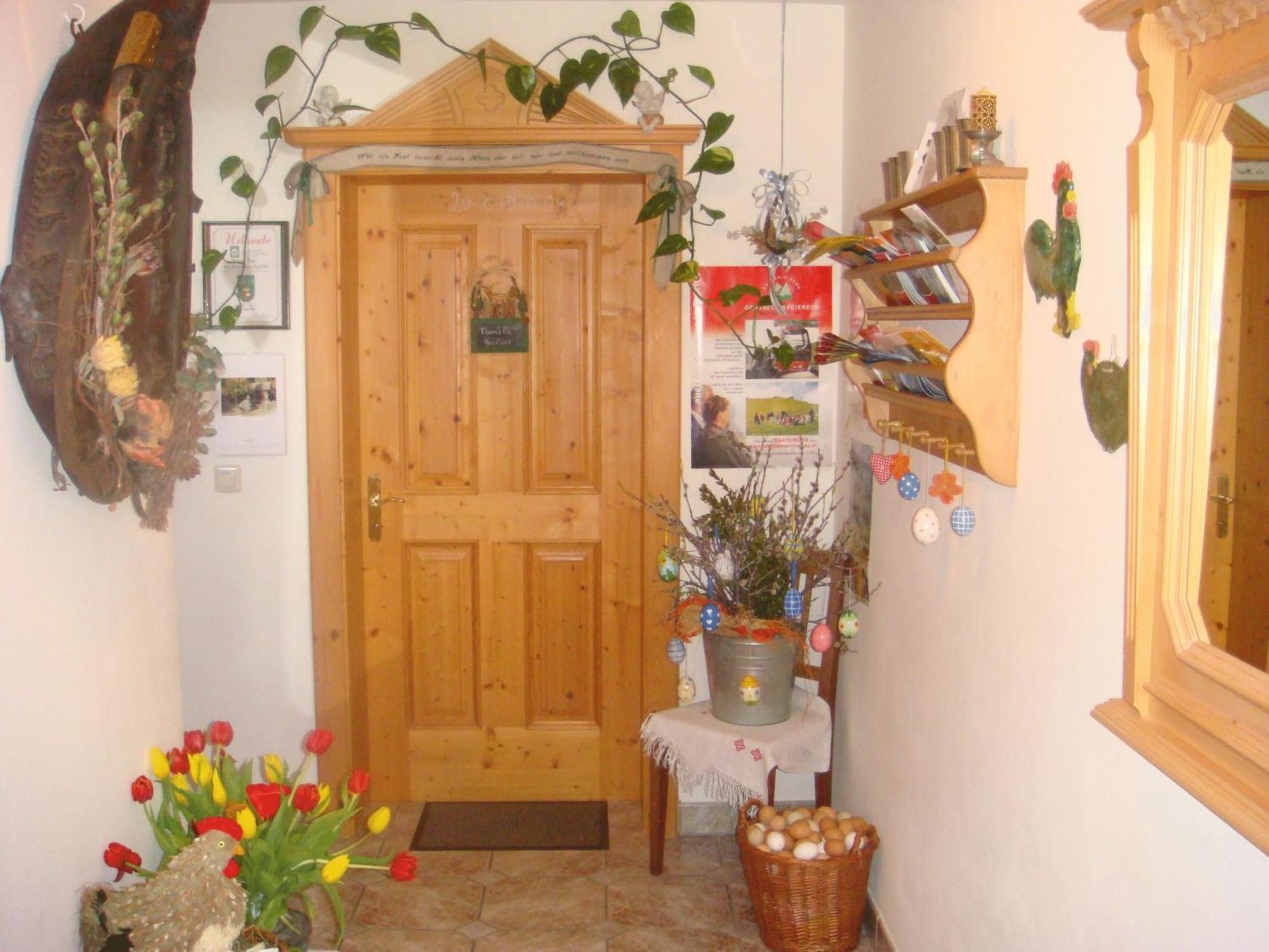 Ferienwohnungen Haus-Holzer Маутерндорф Екстериор снимка