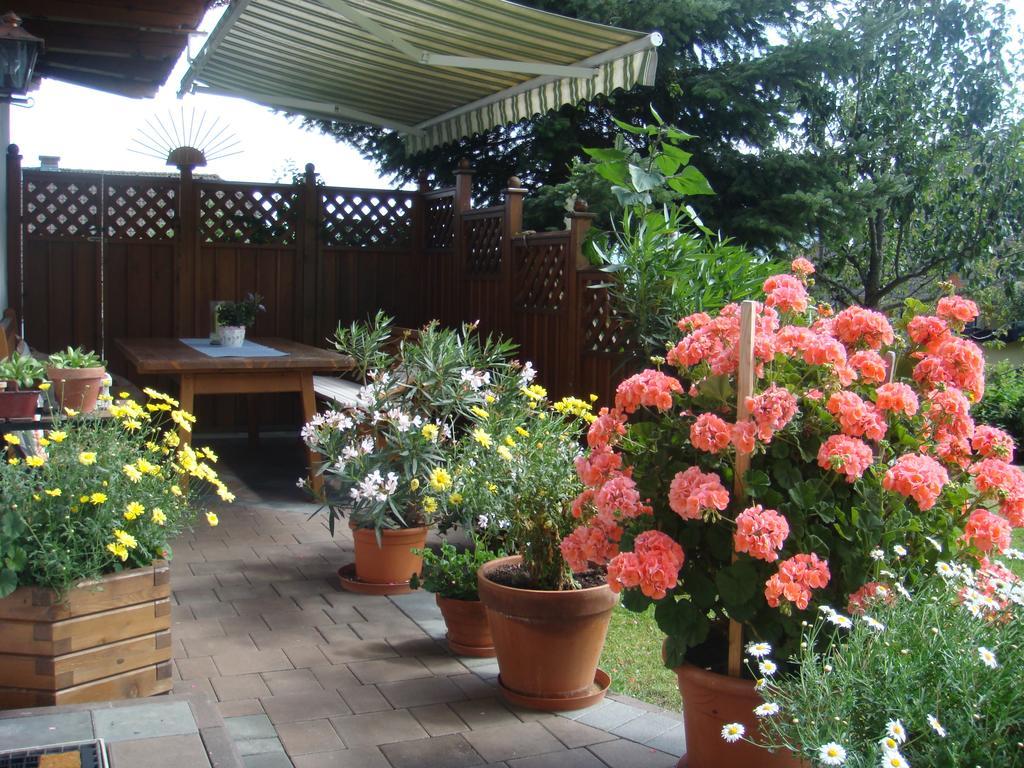 Ferienwohnungen Haus-Holzer Маутерндорф Екстериор снимка