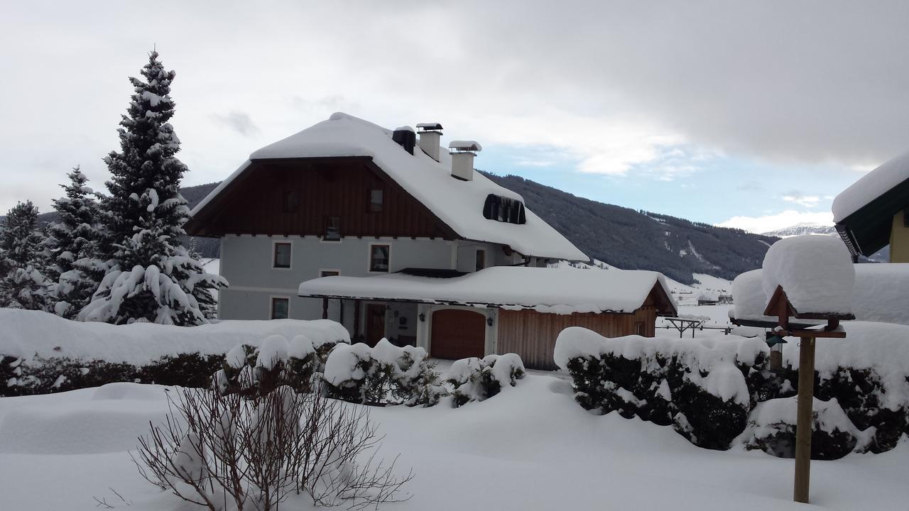 Ferienwohnungen Haus-Holzer Маутерндорф Екстериор снимка